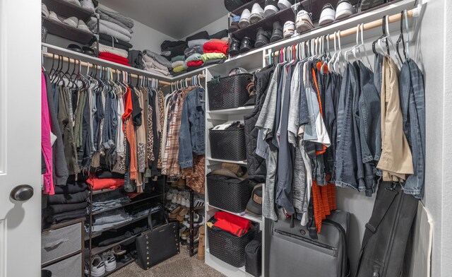 205 Seigenbein Rd, Saint Robert, MO 65584 - walk in closet featuring carpet flooring