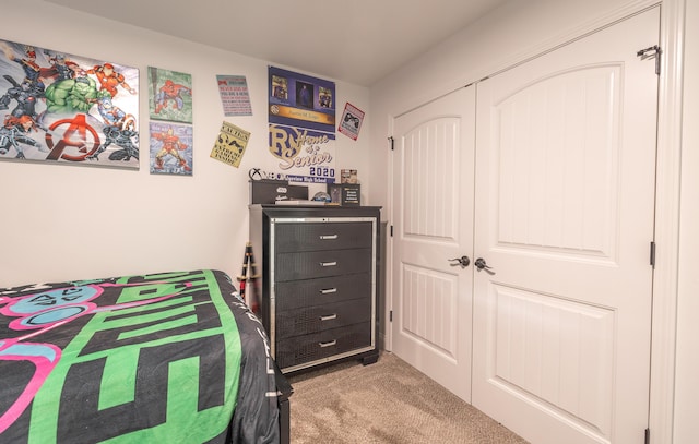 205 Seigenbein Rd, Saint Robert, MO 65584 - bedroom with carpet and a closet
