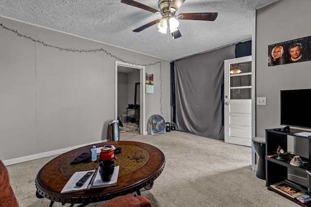 524 W Mckown St, Buffalo, MO 65622 - sitting room with a textured ceiling, ceiling fan, and carpet floors