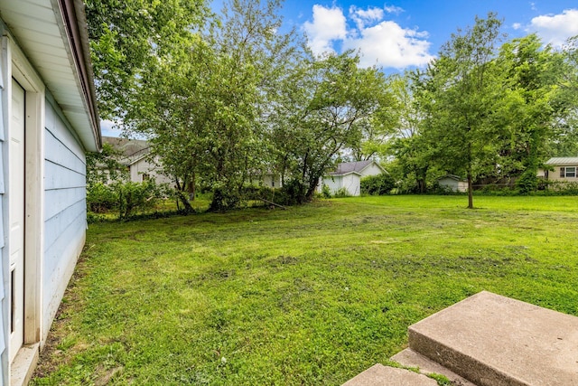 524 W Mckown St, Buffalo, MO 65622 - view of green lawn
