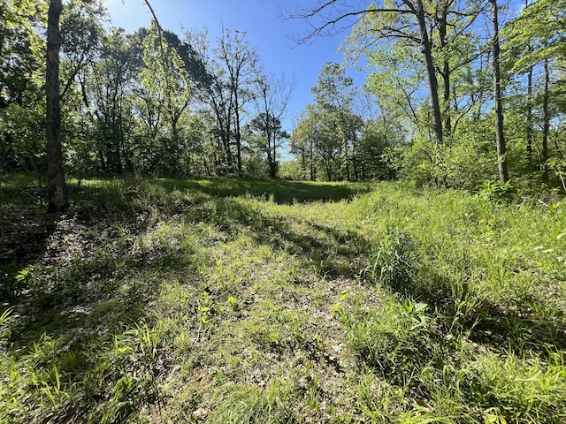 000 Temperance Valley Rd, Goodman, MO 64843