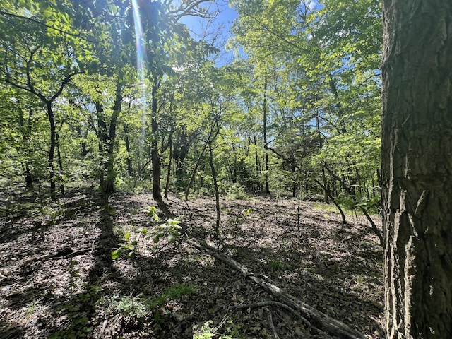 000 Temperance Valley Rd, Goodman, MO 64843