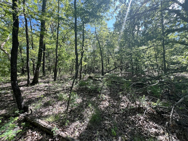 000 Temperance Valley Rd, Goodman, MO 64843