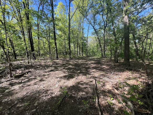 000 Temperance Valley Rd, Goodman, MO 64843