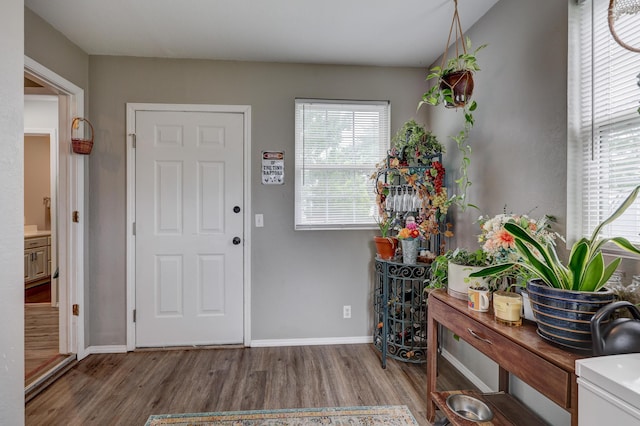 307 Azalea St, Duenweg, MO 64841 - entryway with wood finished floors and baseboards