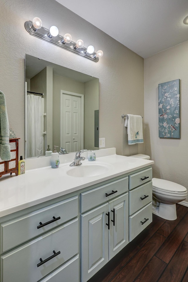 307 Azalea St, Duenweg, MO 64841 - bathroom with wood finished floors, vanity, toilet, and electric panel