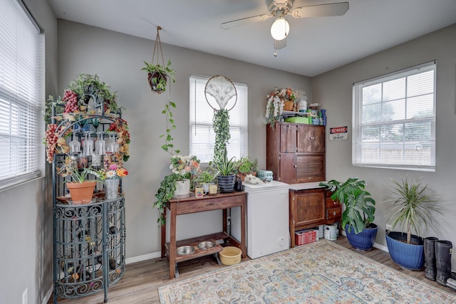 307 Azalea St, Duenweg, MO 64841 - office space with wood finished floors, ceiling fan, and baseboards