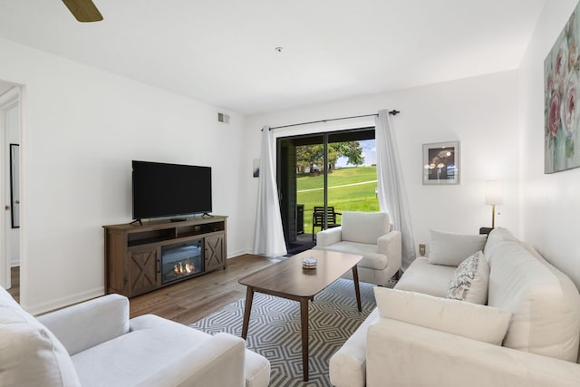 128 Bunker Ridge Rd Unit 2, Branson, MO 65616 - living room featuring wood finished floors, a glass covered fireplace, and ceiling fan