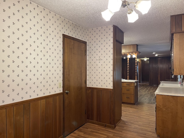 641 N Claud Ave, Bolivar, MO 65613 - hall with a sink, a textured ceiling, dark wood-style flooring, wainscoting, and wooden walls