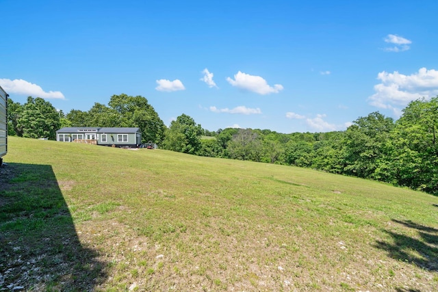 132 Nature Trail Ln, Noel, MO 64854 - view of green lawn with a forest view