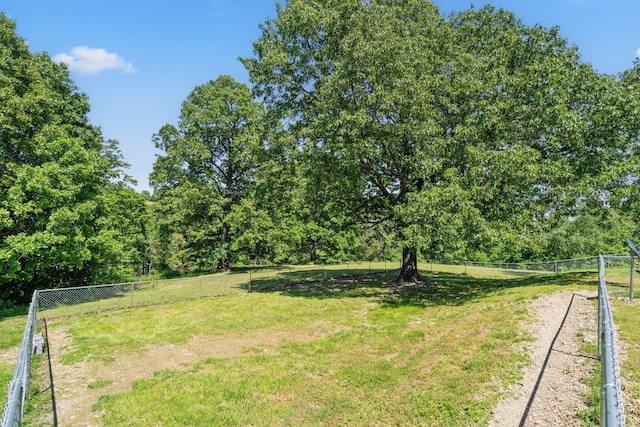 132 Nature Trail Ln, Noel, MO 64854 - view of yard