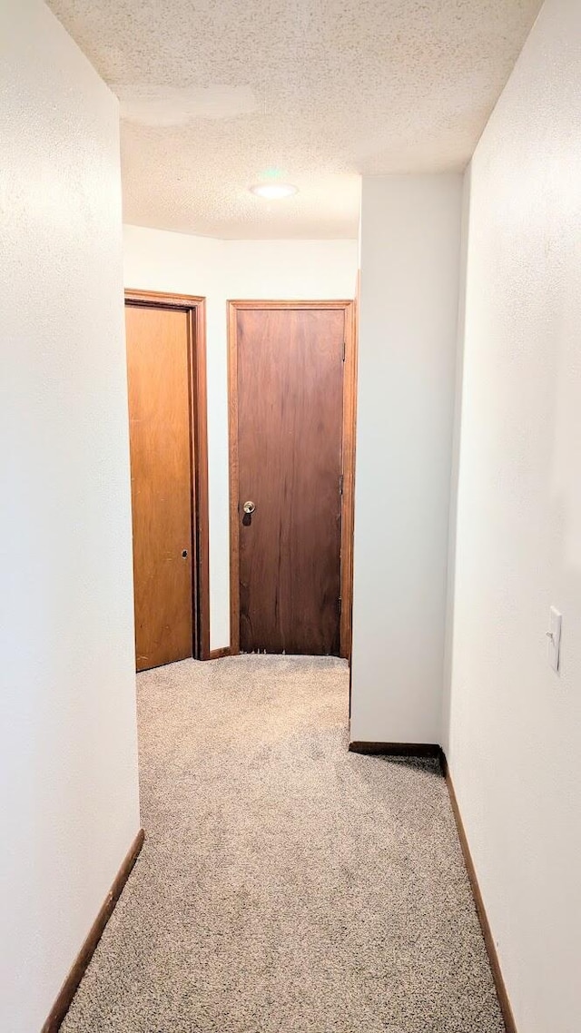 9550 S 325th Rd, El Dorado Springs, MO 64744 - corridor featuring carpet flooring, a textured ceiling, and baseboards