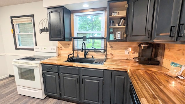 9550 S 325th Rd, El Dorado Springs, MO 64744 - kitchen with electric range, wood counters, a sink, wood finished floors, and baseboards