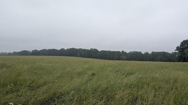 9550 S 325th Rd, El Dorado Springs, MO 64744 - view of tree filled area featuring a view of rural / pastoral area