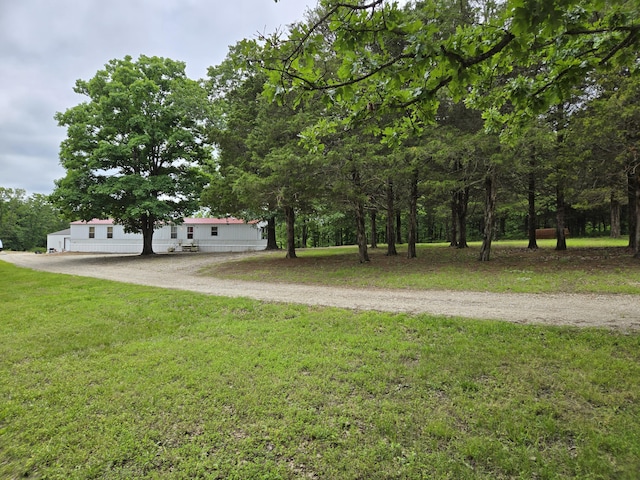 13568 County Road 243, Wheatland, MO 65779 - view of green lawn with dirt driveway