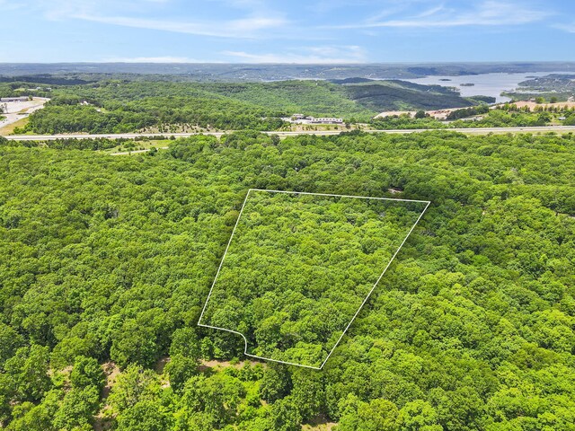 368 Whitfield Ln, Hollister, MO 65672 - photo 80