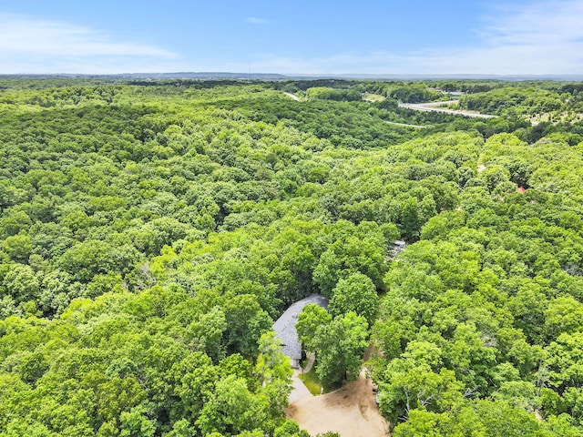 368 Whitfield Ln, Hollister, MO 65672 - photo 73