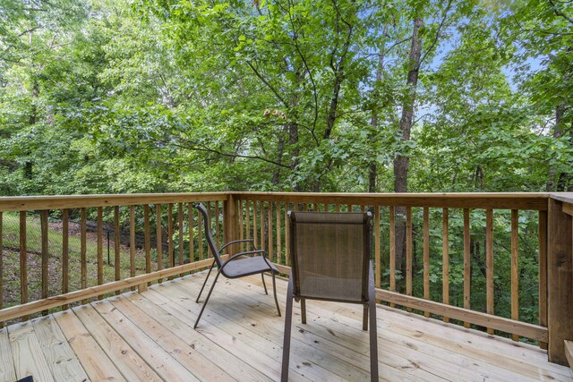 368 Whitfield Ln, Hollister, MO 65672 - photo 59