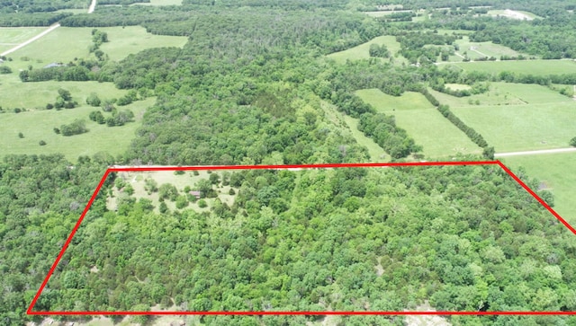 7980 SE 375th Rd, Collins, MO 64738 - photo 4