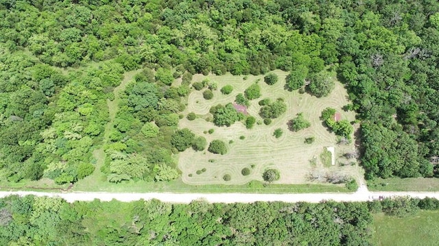 7980 SE 375th Rd, Collins, MO 64738 - photo 6