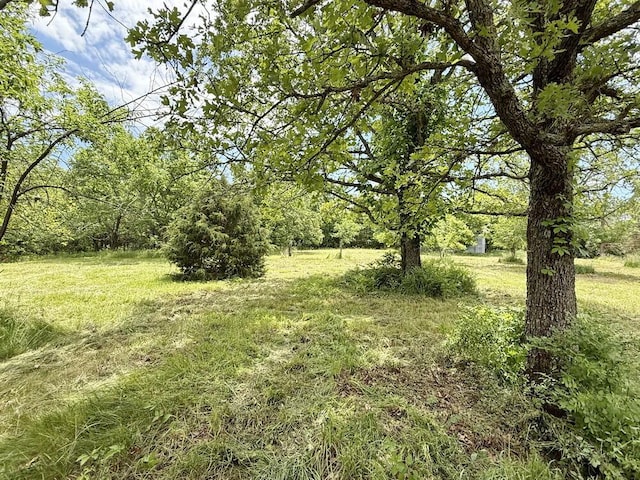 7980 SE 375th Rd, Collins, MO 64738 - photo 17