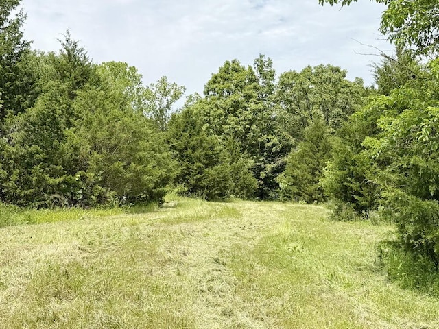 7980 SE 375th Rd, Collins, MO 64738 - photo 19