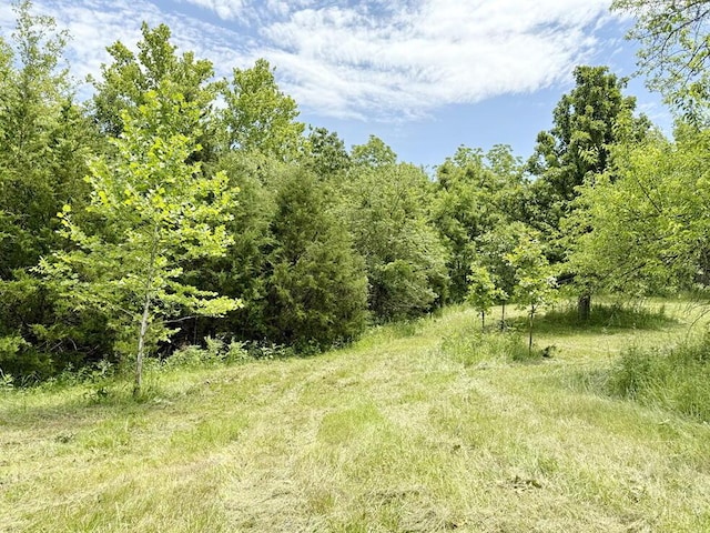 7980 SE 375th Rd, Collins, MO 64738 - photo 20