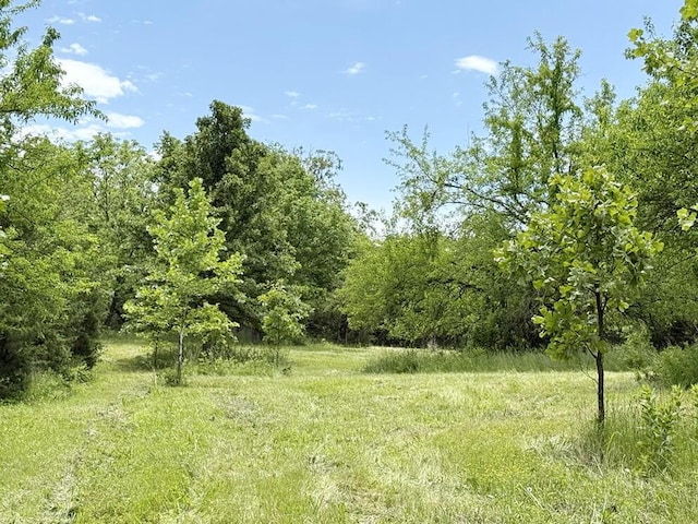 7980 SE 375th Rd, Collins, MO 64738 - photo 21