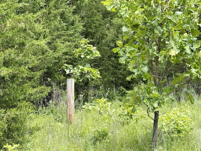 7980 SE 375th Rd, Collins, MO 64738 - photo 22