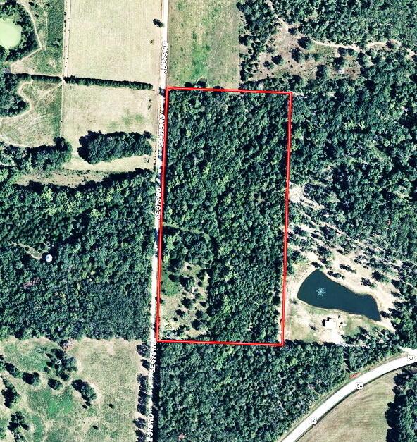 7980 SE 375th Rd, Collins, MO 64738 - photo 3