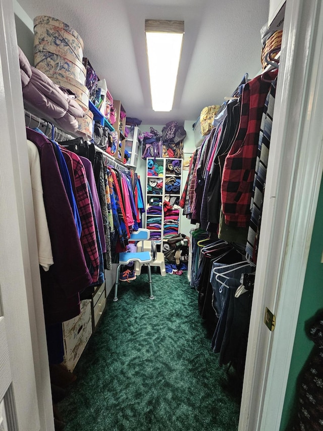 9726 County Road 8530, West Plains, MO 65775 - spacious closet with carpet flooring