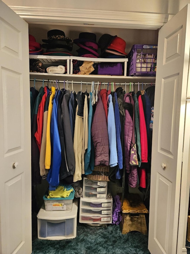 9726 County Road 8530, West Plains, MO 65775 - view of closet