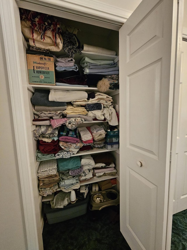 9726 County Road 8530, West Plains, MO 65775 - view of closet