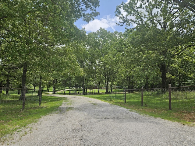9726 County Road 8530, West Plains, MO 65775 - view of dirt / gravel road