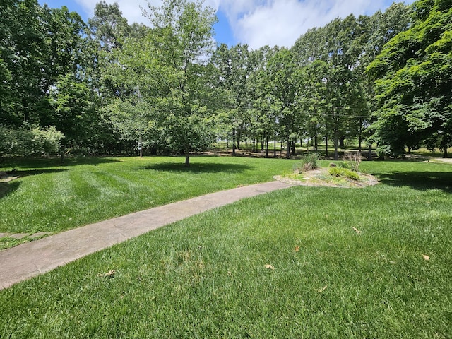 9726 County Road 8530, West Plains, MO 65775 - view of green lawn