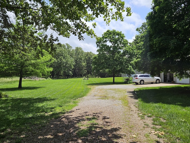 9726 County Road 8530, West Plains, MO 65775 - view of dirt / gravel driveway