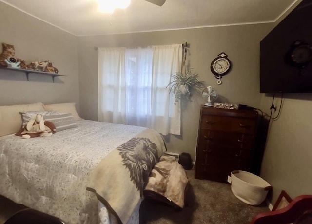 160 Clark St, Taneyville, MO 65759 - carpeted bedroom featuring a ceiling fan