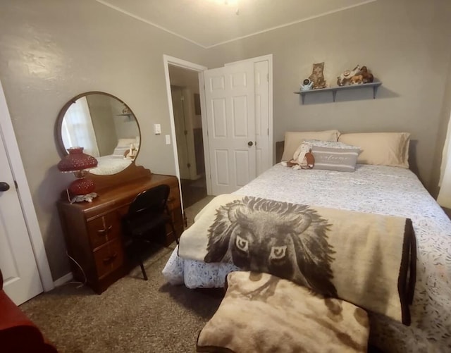 160 Clark St, Taneyville, MO 65759 - view of carpeted bedroom