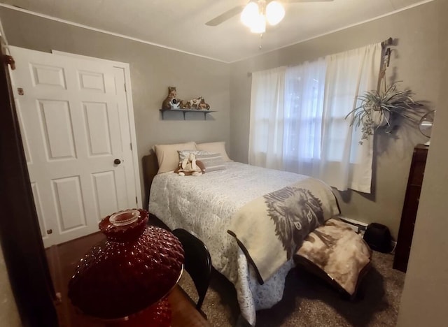 160 Clark St, Taneyville, MO 65759 - bedroom featuring ceiling fan