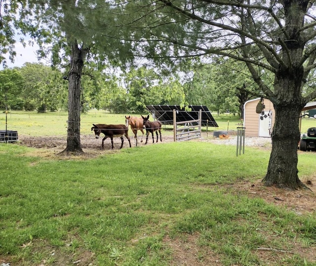 160 Clark St, Taneyville, MO 65759 - view of yard with an outbuilding and an exterior structure