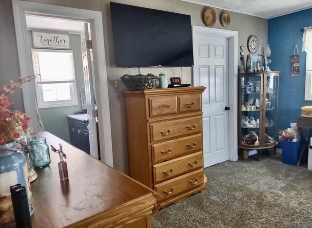 160 Clark St, Taneyville, MO 65759 - bedroom featuring carpet flooring