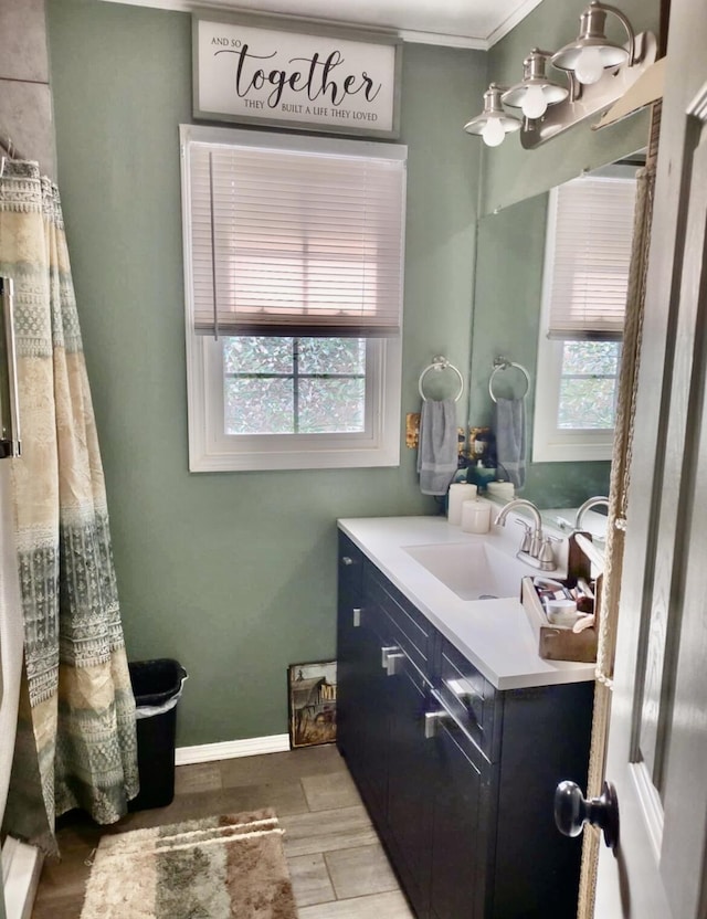 160 Clark St, Taneyville, MO 65759 - bathroom featuring vanity, wood finished floors, crown molding, and baseboards