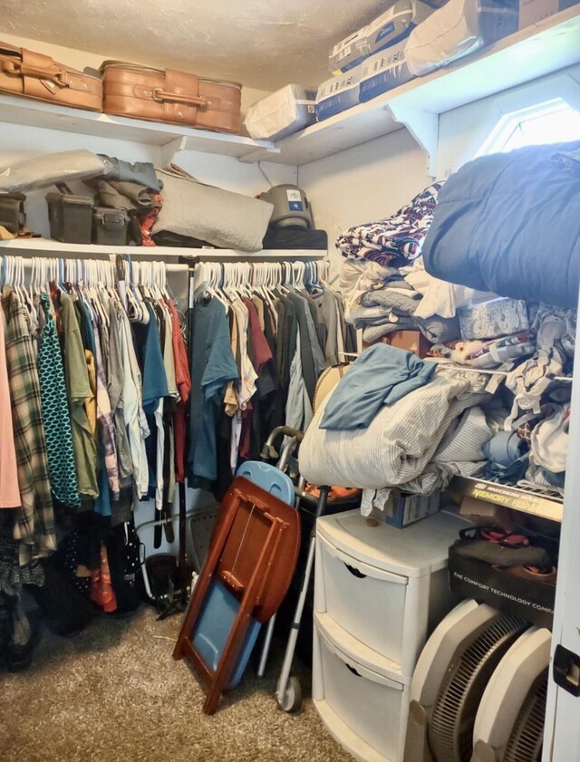 160 Clark St, Taneyville, MO 65759 - view of spacious closet