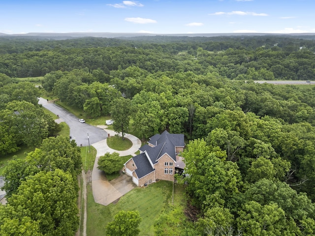 95 Highland Ct, Strafford, MO 65757 - bird's eye view of a heavily wooded area