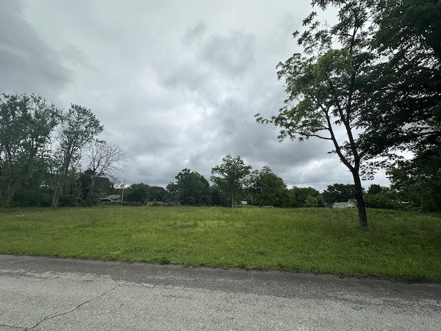 346 Emerald St, Taneyville, MO 65759
