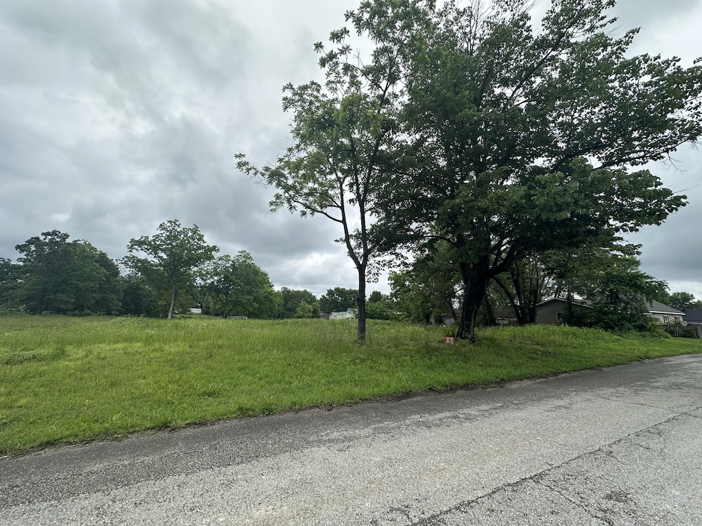 346 Emerald St, Taneyville, MO 65759
