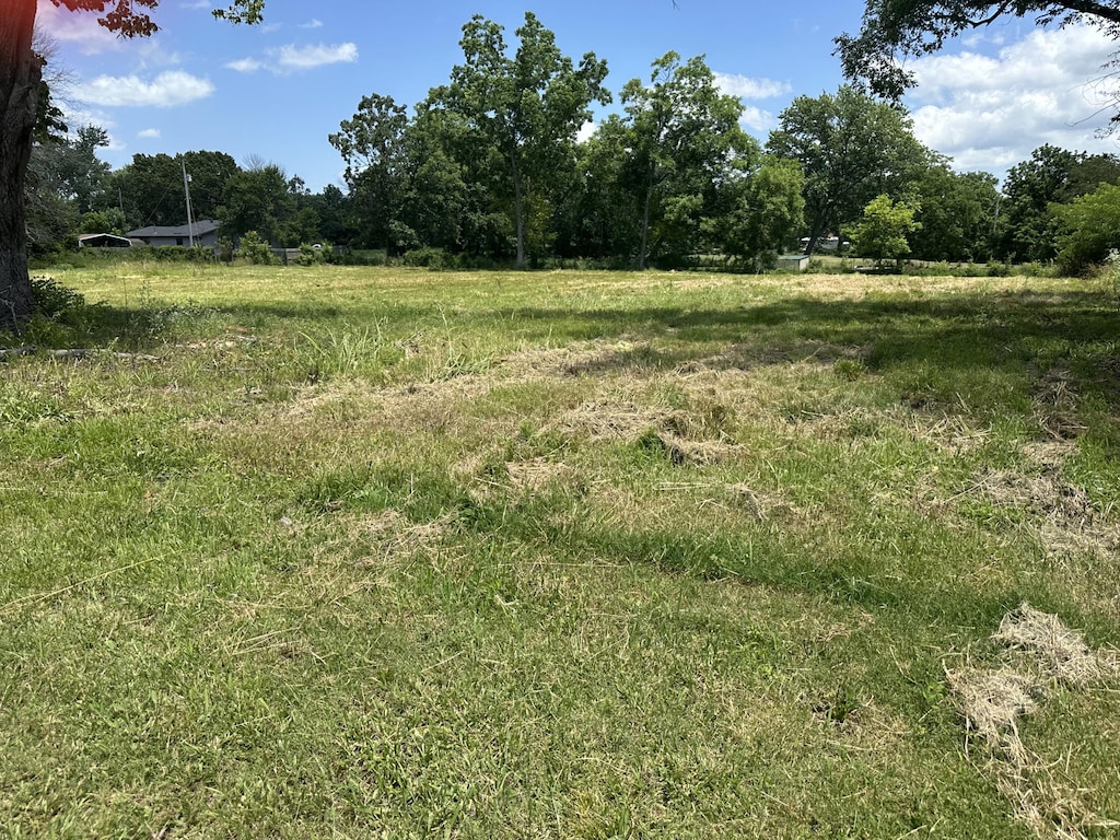 346 Emerald St, Taneyville, MO 65759
