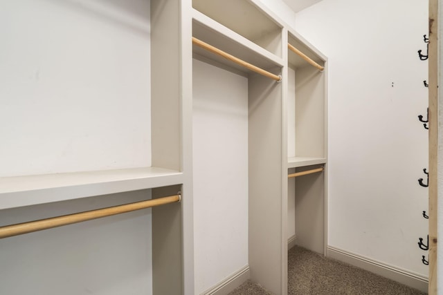 5072 E Hedgerow Dr, Springfield, MO 65802 - walk in closet featuring carpet