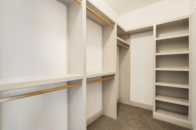 5072 E Hedgerow Dr, Springfield, MO 65802 - walk in closet with dark colored carpet