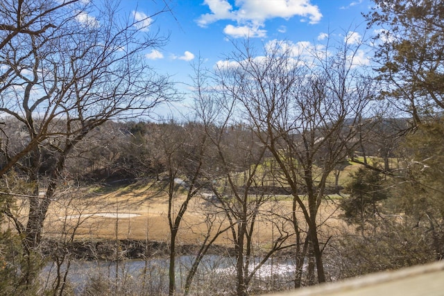 60 Mayberry Cir, Branson West, MO 65737 - water view